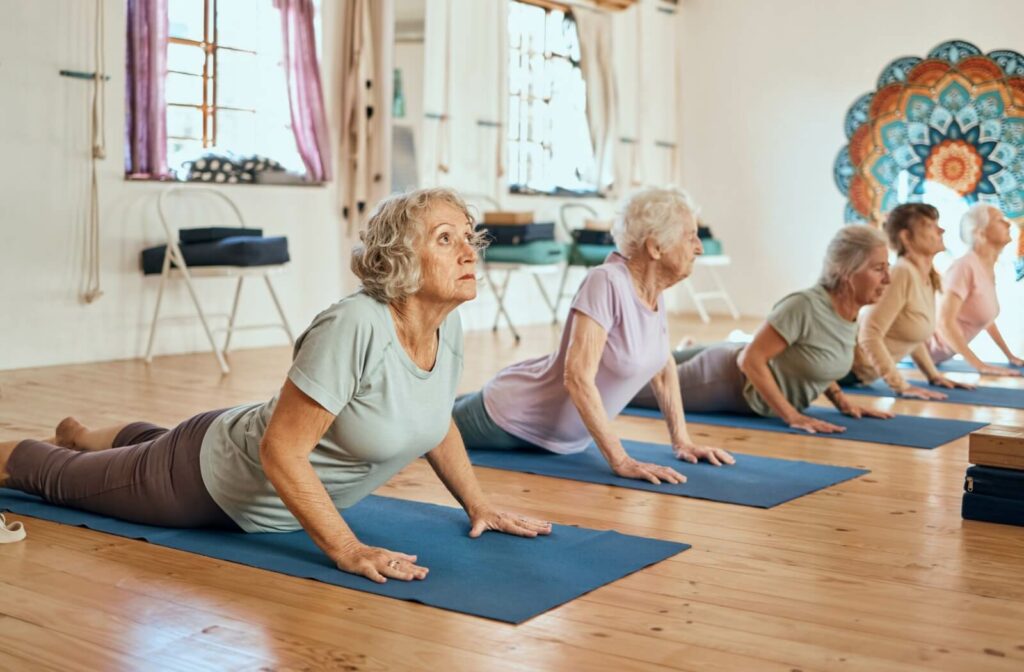 A row of 5 older adults in the cat-cow stretch during a yoga class to practice mindfulness