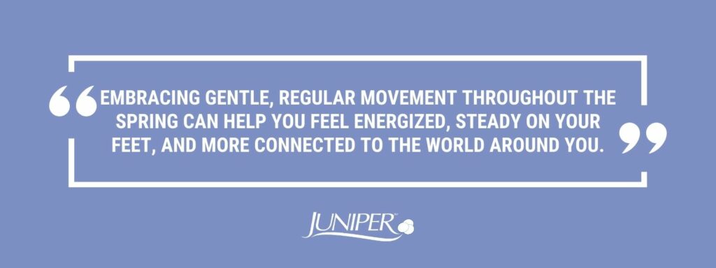 infographic that says 'Embracing gentle, regular movement throughout the winter can help you feel energized, steady on your feet, and more connected to the world around you.'